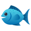 🐟