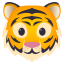 🐯