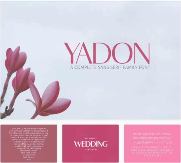 [Envato Market] Семейный пакет шрифтов Yadon без засечек. Шрифт