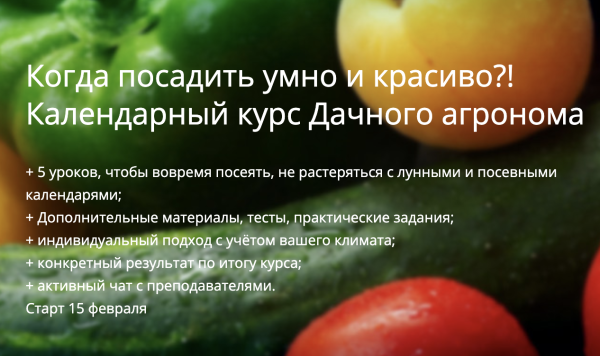 [Дачный агроном] Когда посадить умно и красиво?! Календарный курс