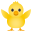 🐥