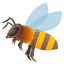 🐝