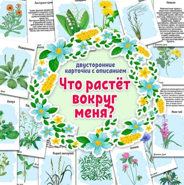 [umeem_igrat] Карточки с описанием. Что растёт вокруг меня? [Алсу Хаметова]