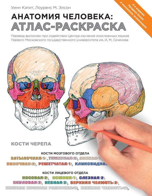 Анатомия человека: атлас-раскраска [Уинн Кэпит, Лоуренс Элсон]