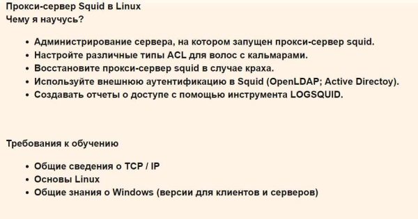 [Udemy] Прокси сервер Squid в Linux