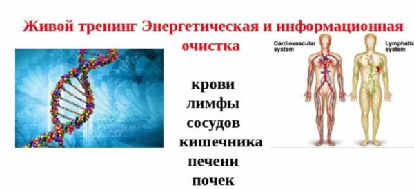 Энергетическая и информационная очистка [Ольга Макарчук]