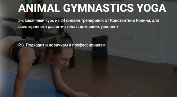 Animal gymnastics yoga [Константин Ронин]