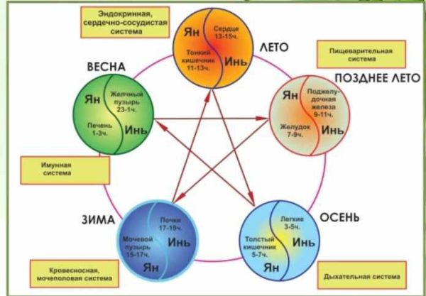 Практикум Как скорректировать Здоровье по Бацзы и У-СИН [Оксана Лысикова]