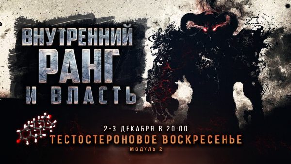 Тестостероновое воскресенье. Модуль 2 [Михаил Рысак]