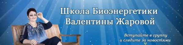 Гeнератор жизненнoй энeргии и здoровья. 1-я ступень [Валентина Жарова]