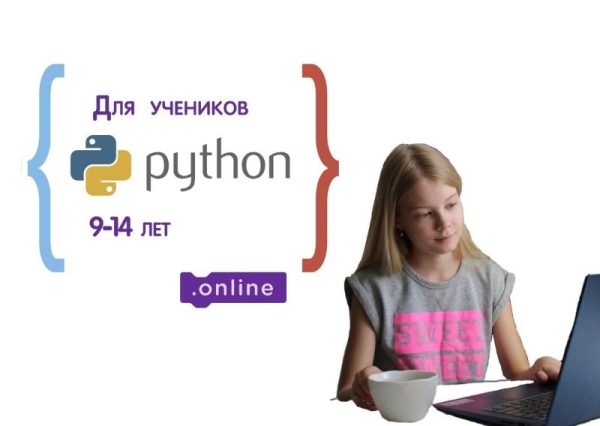 Курс по программированию на Python для детей 9-14 лет. Пакет Ученик Pro [Денис Голиков]