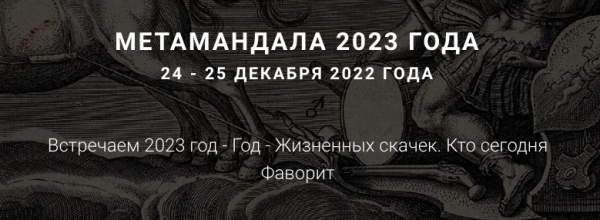 [МетаПортрет] МетаМандала 2023 года [Ирина Бердина]