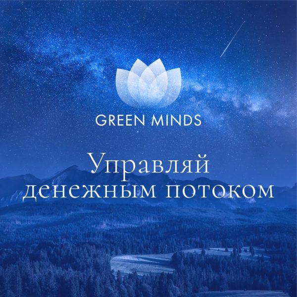 Нейромедитация Green minds Управляй денежным потоком [Алексей Ситников]