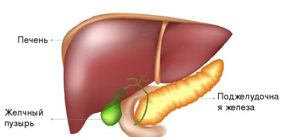 Схема Печень [Ната Хаустова]