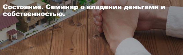 Состояние. Семинар о владении деньгами и собственностью [Елена Веселаго]