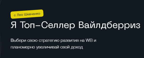 Я топ-селлер вайлдберриз. Тариф селлер [Лео Шевченко]