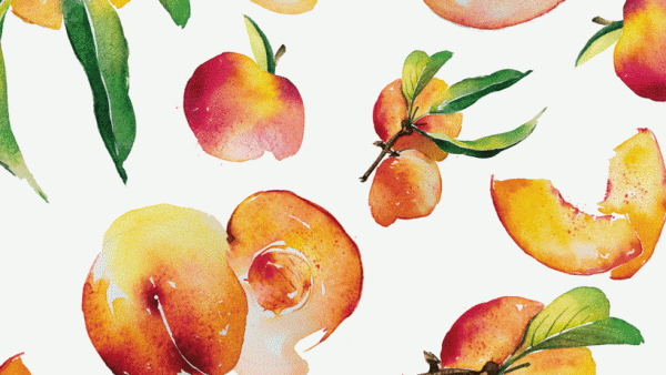 [Domestika] Flavorful Food Illustration with Watercolor / Аппетитная food-иллюстрация акварелью [Enya Todd, Энья Тодд]