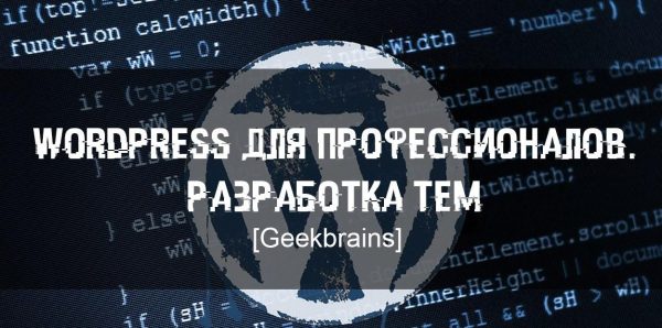 [GeekBrains] WordPress для профессионалов. Разработка тем