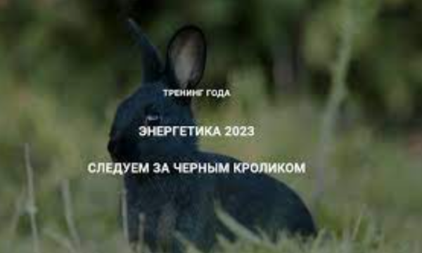 [Дао-Сфера] Энергетика 2023. Следуем за черным кроликом [Дмитрий Лаптев]