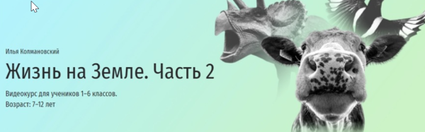 [Прямая речь] Жизнь на Земле. Часть 2 [Илья Колмановский]