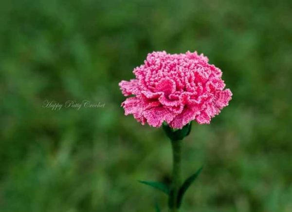 Carnation Flower/Цветок гвоздики [HappyPattyCrochet]