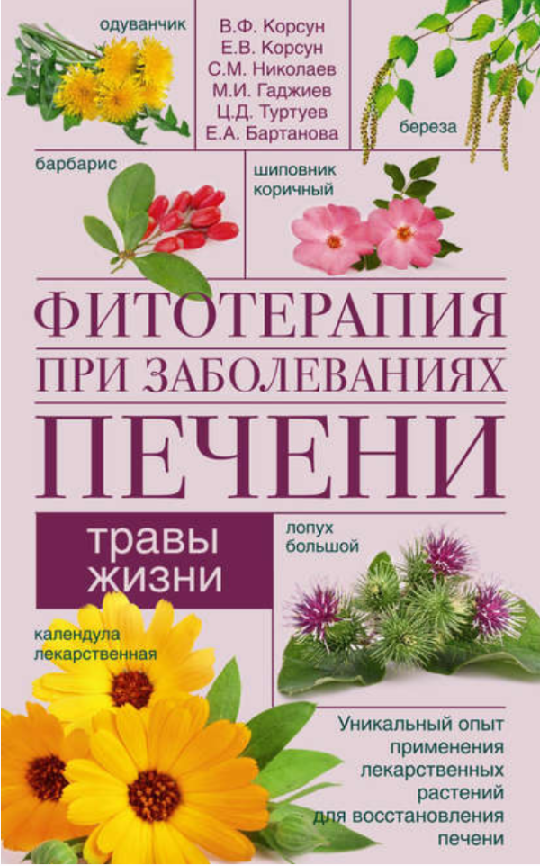 Фитотерапия при заболеваниях печени. Травы жизни [Владимир Корсун, Сергей Николаев, Елена Корсун]