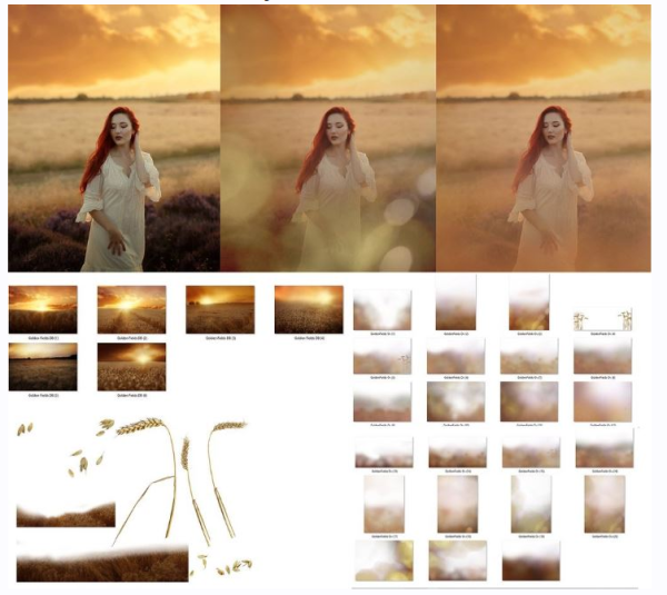 [Kimladesigns.com] Фотоналожения Золотые Поля / Golden Fields Photo Overlays