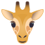 🦒