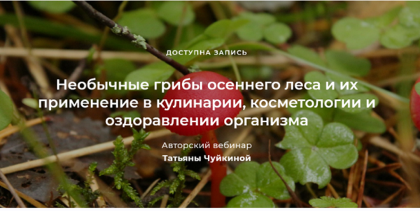 Необычные грибы осеннего леса и их применение в кулинарии, косметологии и оздоравлении организма [Татьяна Чуйкина]