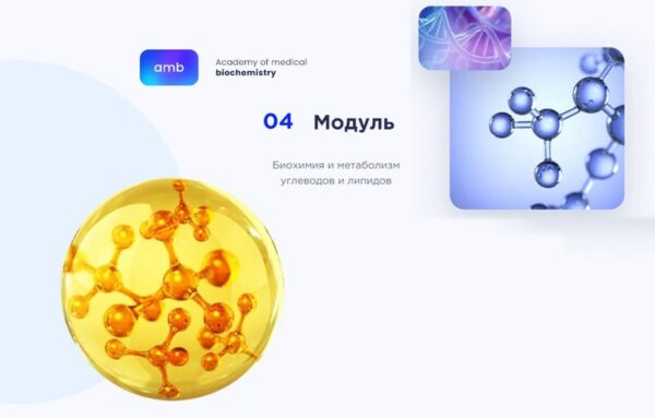 [amb] Основы биохимии. 4 модуль. Биохимия и метаболизм углеводов и липидов [Елизавета Радевич]