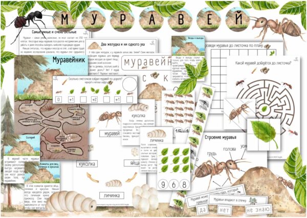 [busy-bee] Проект Муравей уровень 2/3 [Елена Самсонова]