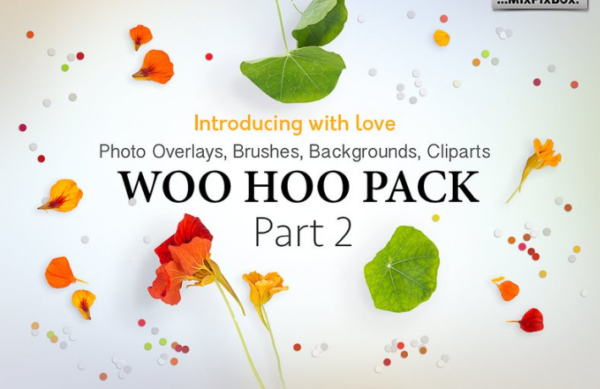 [etsy] Introducing with love Photo Overlays, Brushes, Backgrounds, Cliparts woo hoo pack 2/ 1700+ Наложений для Фотографий, 2019