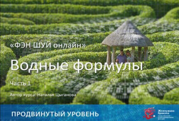 Фэн Шуй онлайн. Продвинутый уровень 10/10 [Наталья Цыганова]