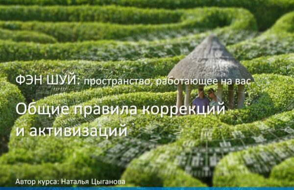 Фэн Шуй онлайн. Продвинутый уровень 2/10 [Наталья Цыганова]