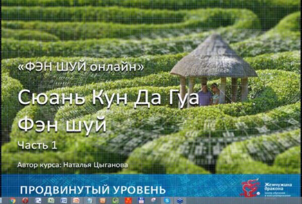 Фэн Шуй онлайн. Продвинутый уровень 9/10 [Наталья Цыганова]