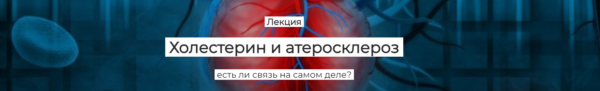 [humberto 2.0] Холестерин и атеросклероз, есть ли связь на самом деле? [Елена Иванова]