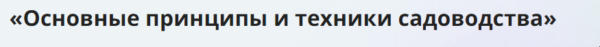 [Инфоурок] Основные принципы и техники садоводства