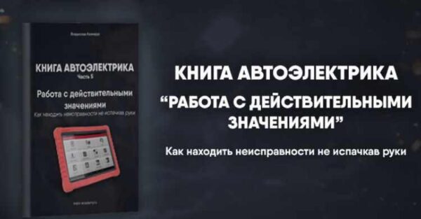 [Mers Academy] Книга автоэлектрика. Работа с действительными значениям [Владислав Казмирук]