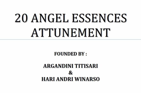 Настройка на 20 Ангельских эссенций [Хари Андри Винарсо]