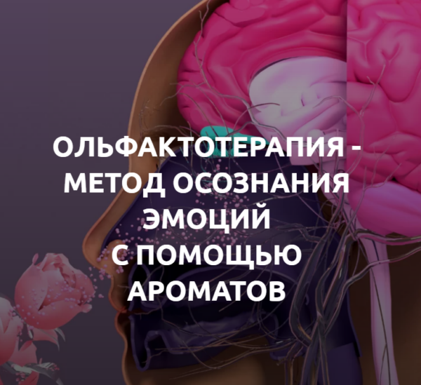 Ольфактотерапия-метод осознания эмоций с помощью ароматов. 1 ступень [Алла Позняк]