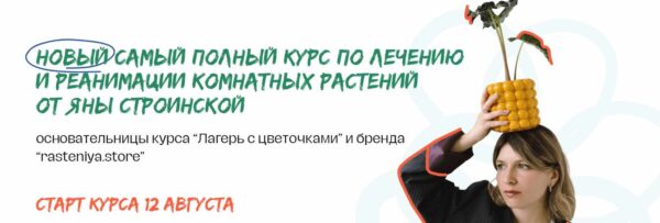 [plants.coach] Самый полный курс по лечению и реанимации комнатных растений. Тариф Самостоятельный [Яна Строинская]