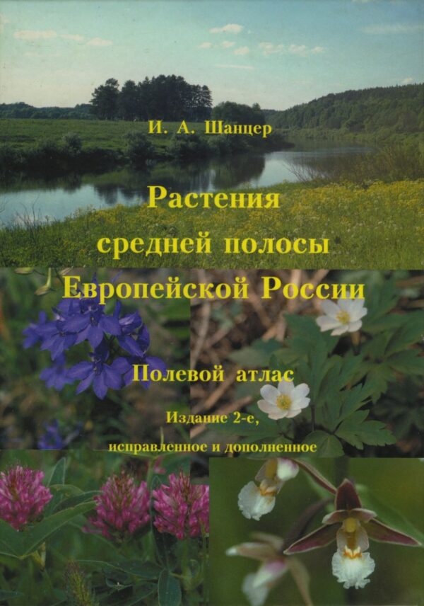 Растения средней полосы Европейской России. Полевой атлас [Иван Шанцер]