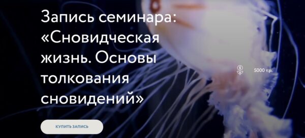 Сновидческая жизнь. Основы толкования сновидений [Стелла Гусарова]