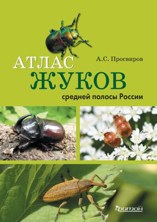 Атлас жуков средней полосы России [Александр Просвиров]