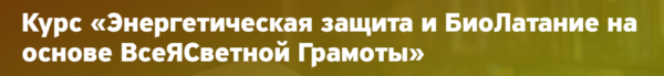 Энергетическая защита и Биолатание на основе Всеясветной Грамоты [Елена Вырышева]