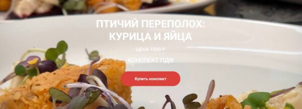 Конспект Птичий переполох: курица и яйца [Ольга Деффи]