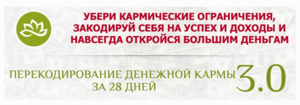 Перекодирование денежной кармы за 28 дней 3.0 [Евгений Дейнеко]